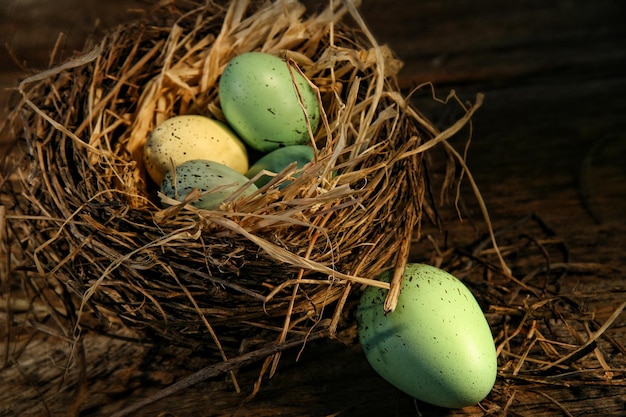 Huevos moteados en el nido