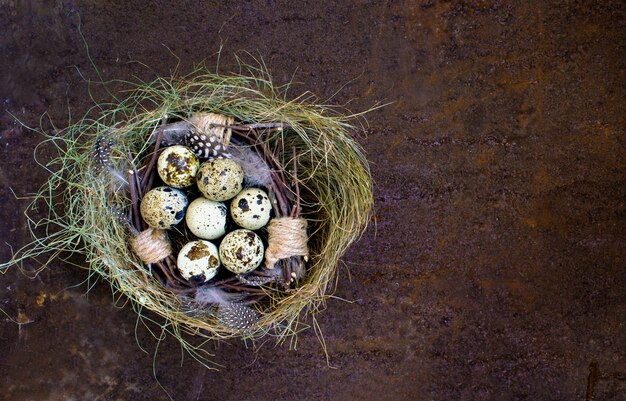 Huevos de nido, pascua, fondo de hierro.