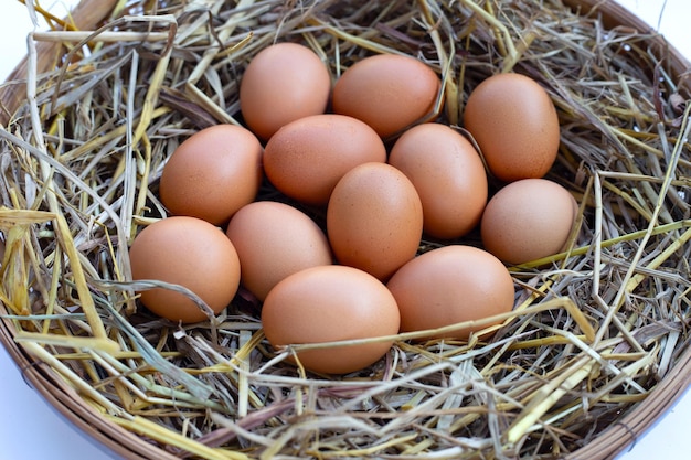 Huevos orgánicos frescos en un nido de paja