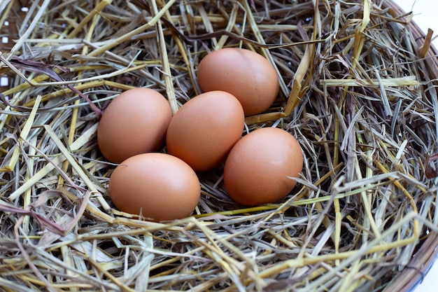 Huevos orgánicos frescos en un nido de paja