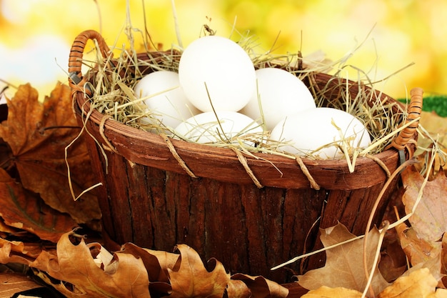 Huevos de Pascua en canasta de mimbre escondidos en hojas