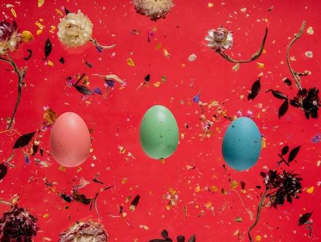 Huevos de Pascua de colores y pétalos de té secos sobre fondo rojo. Vista superior