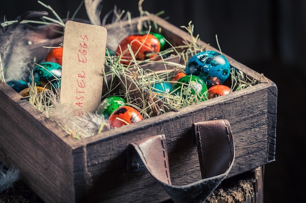 Huevos de Pascua coloridos en caja pequeña de madera