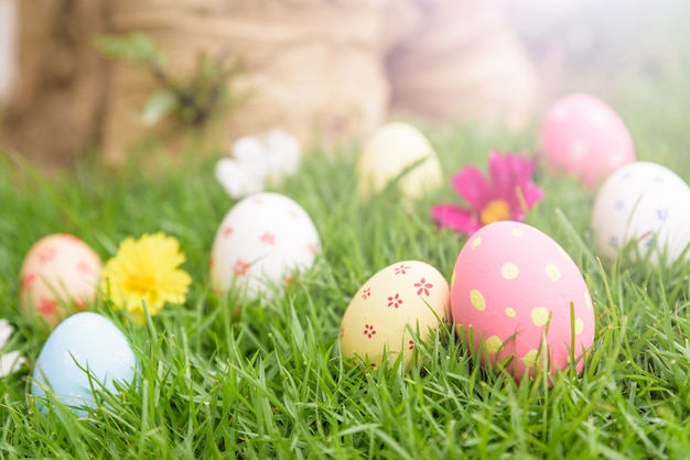 Huevos de Pascua coloridos en campo de hierba verde durante fondo de la puesta del sol.