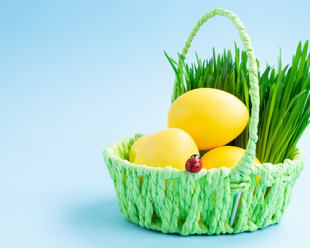 Huevos de Pascua coloridos en una cesta con la hierba decorativa. Fondo azul. Concepto de vacaciones de semana Santa.