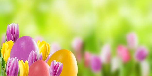 Huevos de Pascua coloridos y flores de tulipán, superficie de vacaciones para su decoración. Búsqueda de huevos, espacio de copia
