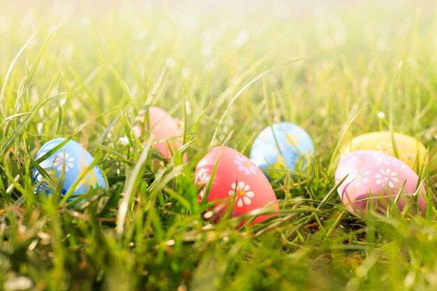 Huevos de Pascua coloridos en el prado verde soleado.