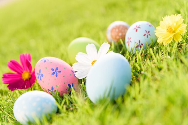 Huevos de Pascua coloridos del primer en campo de hierba verde durante fondo de la puesta del sol.