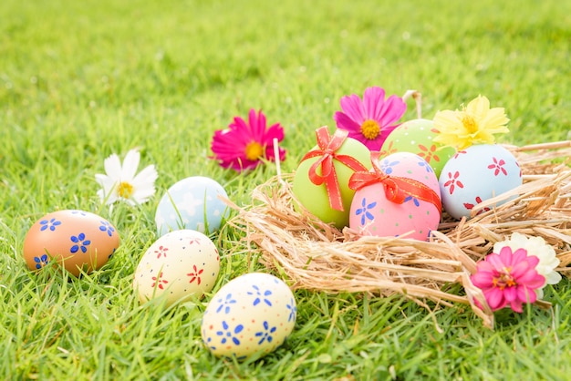 Huevos de Pascua coloridos del primer en jerarquía en campo de hierba verde durante fondo de la puesta del sol.