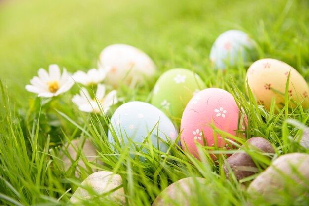 Huevos de Pascua coloridos del primer en jerarquía en campo de hierba verde durante fondo de la puesta del sol.