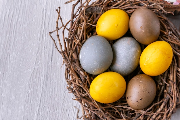 Huevos de Pascua decorados en nidos de pájaros sobre una superficie de hormigón Vista superior Felices Pascuas