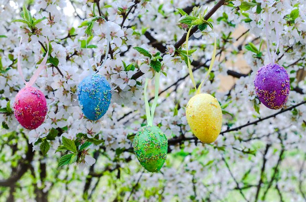 Huevos de pascua decorativos en un árbol en flor