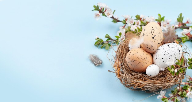 huevos de pascua y flor de cerezo