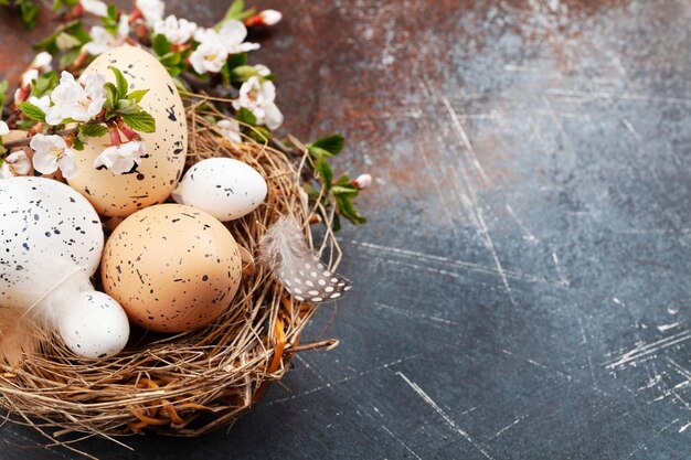 huevos de pascua y flor de cerezo