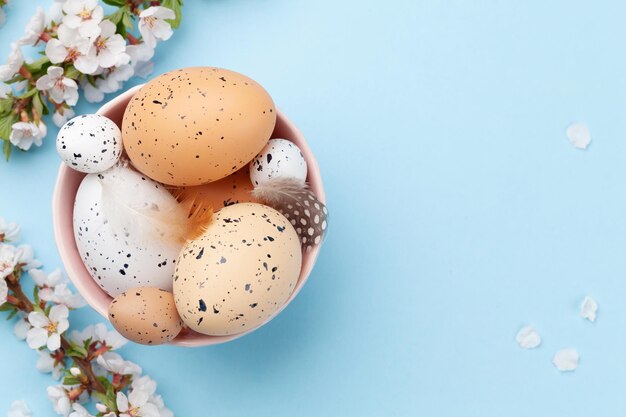 huevos de pascua y flor de cerezo