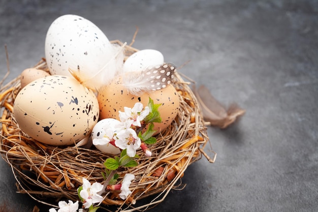 huevos de pascua y flor de cerezo