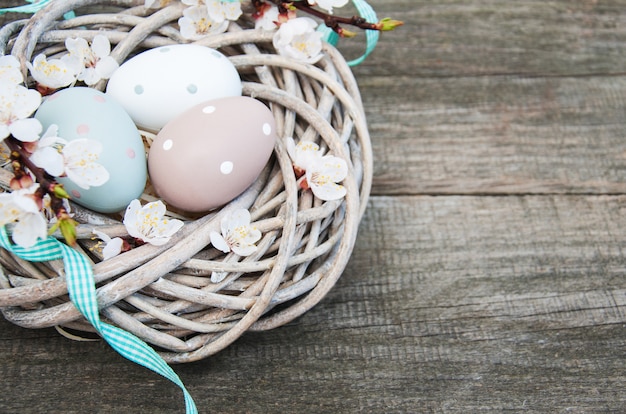 Huevos de Pascua y flor de primavera