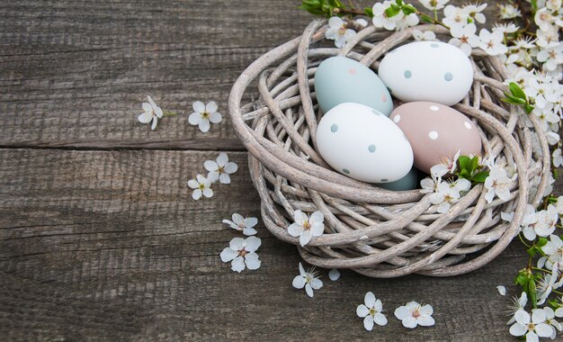 Huevos de Pascua y flor de primavera