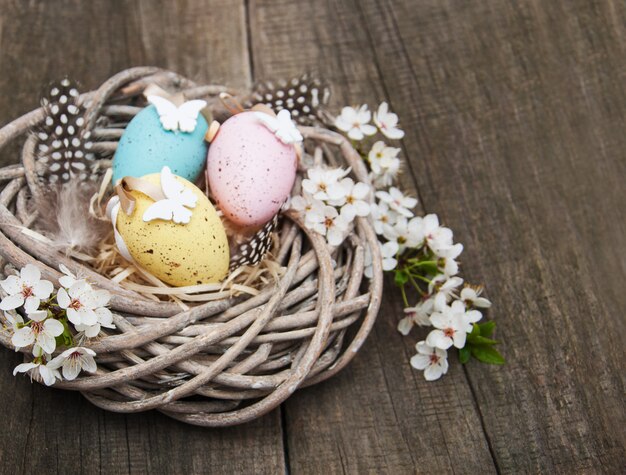 Huevos de Pascua y flor de primavera