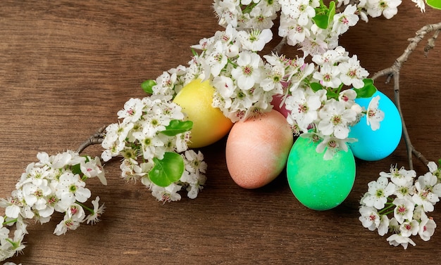 Huevos de Pascua en una floración huevos de colores flores de primavera