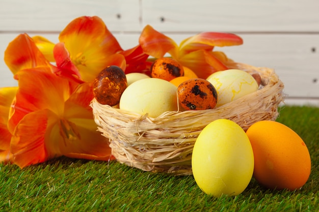 Huevos de Pascua con flores sobre hierba verde