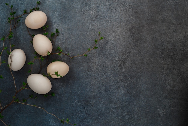 Huevos de Pascua en fondo gris. Ramita de vegetación. Lugar de inscripción. vista superior