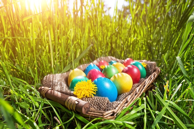 Huevos de Pascua en la hierba