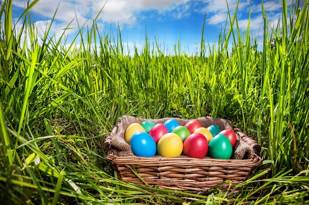 Huevos de Pascua en la hierba