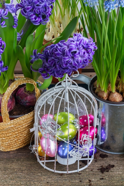 Huevos de Pascua en jardín en jaula con macetas