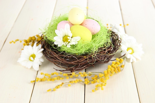 Huevos de pascua en nido y flores de mimosa sobre fondo blanco de madera