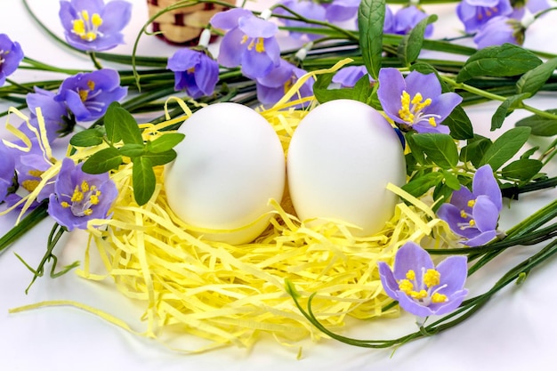 Huevos de Pascua en el nido y flores de primavera sobre un fondo blancoConcepto feliz de Pascua