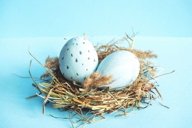 Huevos de Pascua en un nido de hierba. Fondo azul.