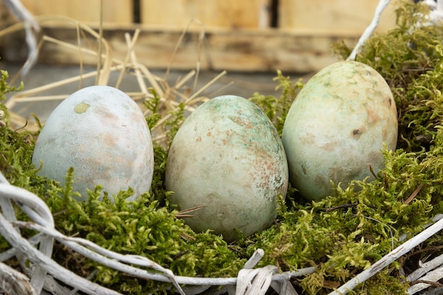 Huevos de Pascua en un nido de musgo sobre una mesa de madera.