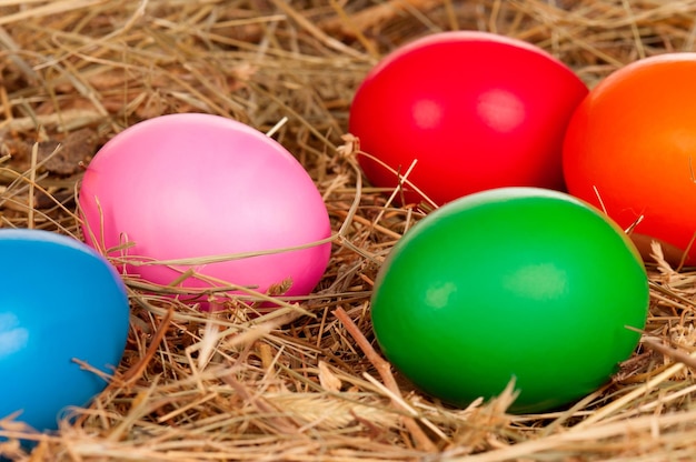 Huevos de Pascua en el nido natural de heno