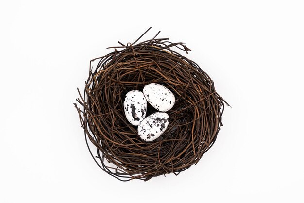 Huevos de Pascua en un nido sobre un fondo aislado Foto de alta calidad