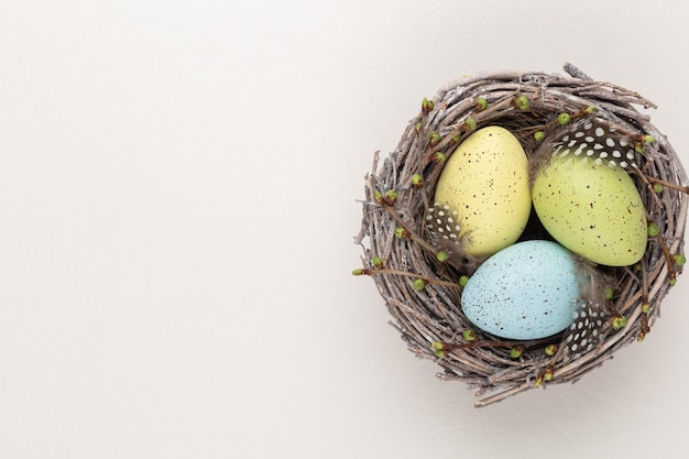 Huevos de Pascua en el nido Tarjeta de felicitación de primavera xDxA