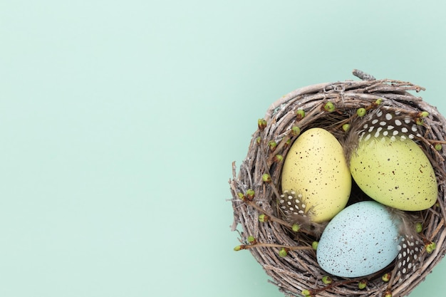 Huevos de Pascua en el nido Tarjeta de felicitación de primavera xDxA