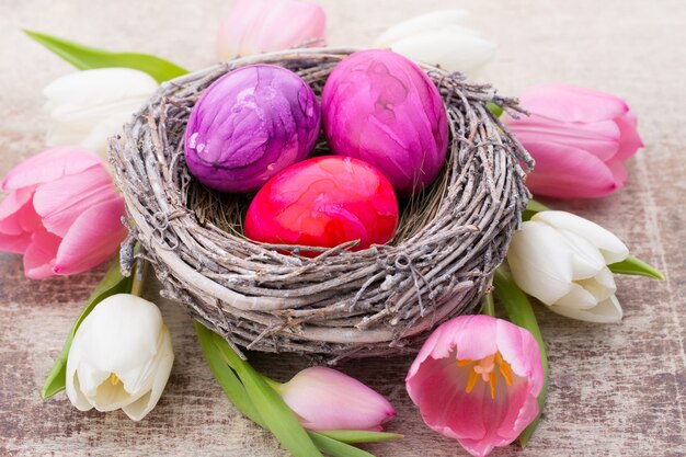 Huevos de Pascua en el nido y tulipán