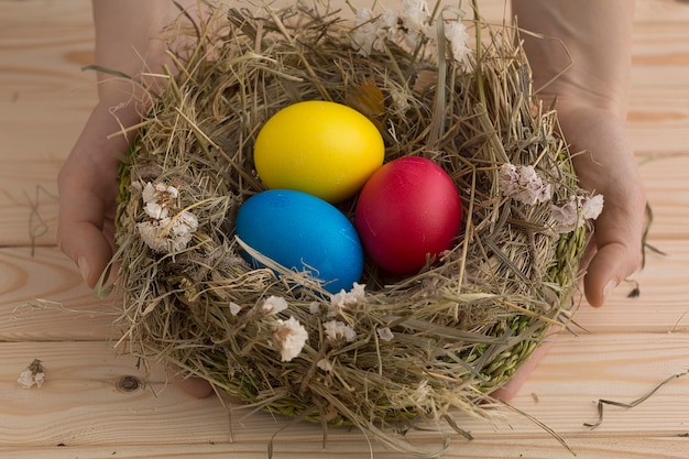 Huevos de Pascua en el nido.