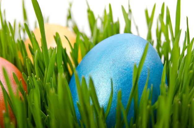 Huevos de Pascua en pasto verde con fondo blanco.