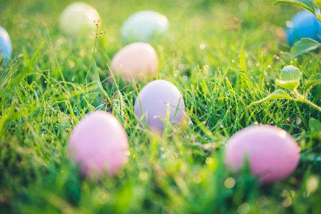 Huevos de pascua en pasto verde