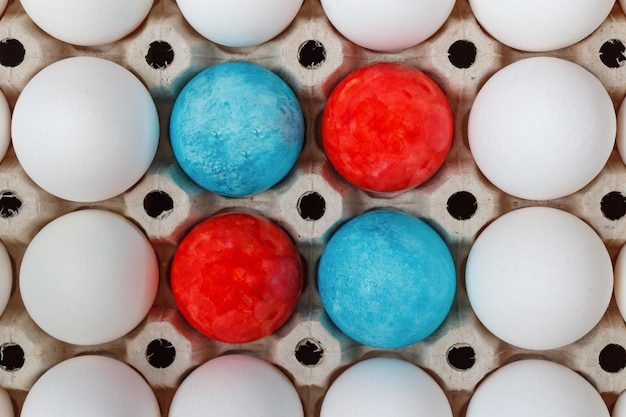 Huevos de Pascua rojos y azules entre huevos de gallina blanca en bandeja de cartón