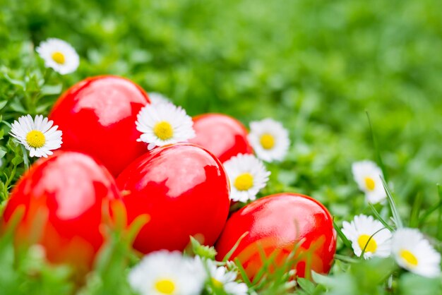 Huevos de pascua rojos