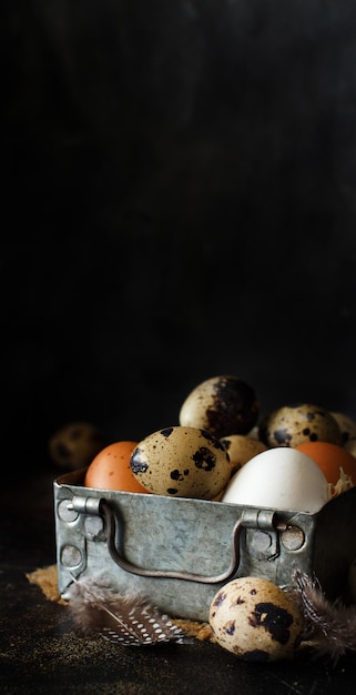 Huevos de pollo y codorniz en una caja sobre un fondo oscuro