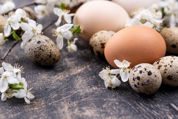 Huevos de pollo y codorniz con rama floreciente