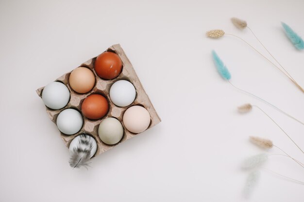 huevos de pollo frescos de tonos y colores naturales sobre un fondo blanco Concepto de Pascua feliz