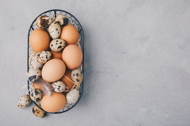 Huevos Pollo de granja orgánica cruda y huevos de codorniz en cesta sobre fondo de piedra gris vista superior