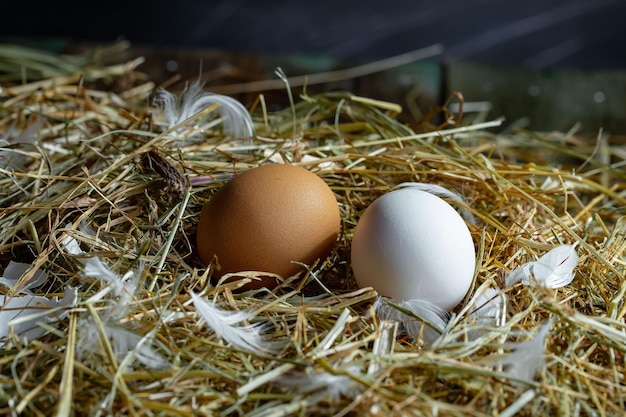 Huevos de pollo en hierba seca sobre un fondo viejo