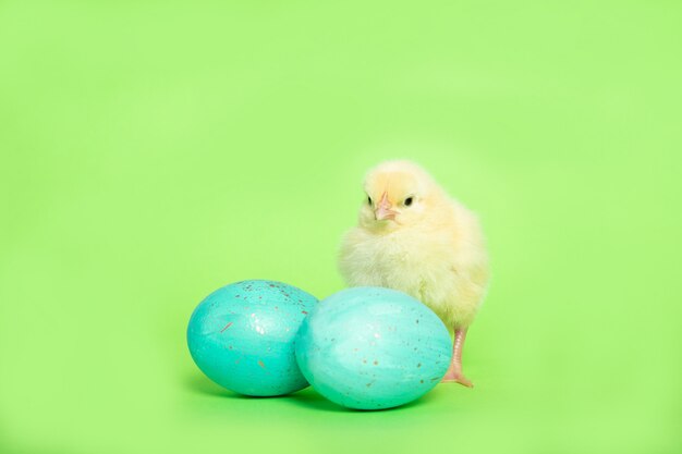 Huhn auf einem grünen Hintergrund mit einem Osterei