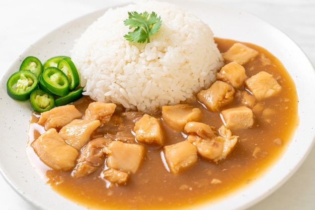 Huhn in brauner Sauce oder Soßen-Sauce mit Reis - asiatische Art zu essen